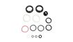 KIT MANTENIMIENTO ROCKSHOX 200H DLX NUDE/BOLD C1**