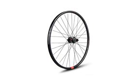 RUEDA TRAS. 29ER ALPHA 6T 12X142MM SHIMANO HG STD