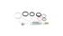KIT MANTENIMIENTO ROCKSHOX 200H NUDE/BOLD 2022+ (2021-2022)