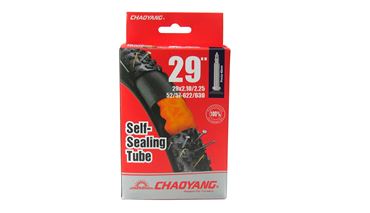CAMARA CHAOYANG 29X2.10/2.25 SELLANTE VAL. FINA 48MM
