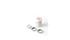 KIT RATCHET SERVICE SL 36T