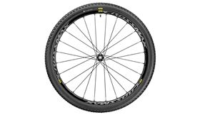 RUEDA DEL. 29ER MAVIC CROSSMAX ELITE BLACK 2.1 15X100MM