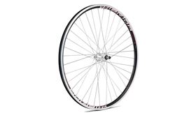 RUEDA TRAS. 29ER XM-1 GURPIL V/BRAKE R/INOX ROSCA