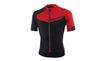 MAILLOT ROGELLI CONTENTO