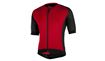 MAILLOT ROGELLI PONZA 2.0