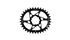 PLATO LEONARDI 34D GECKO TRACK SRAM® GXP OFFSET 6º