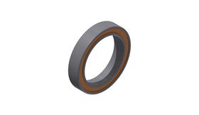 RODAM. DT SWISS 27X37X7MM RS1