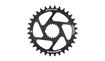 PLATO LEONARDI GECKO SHIMANO